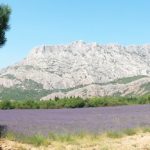 Location-Les sites à visiter-sainte-victoire
